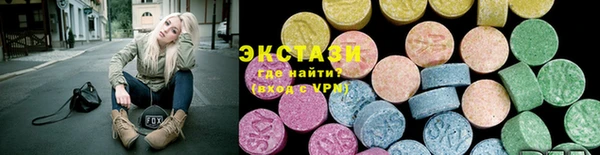 индика Бородино