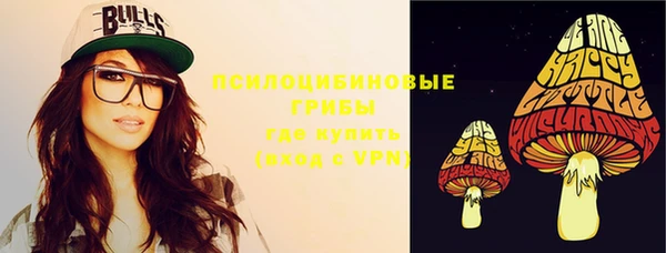 COCAINE Богородицк