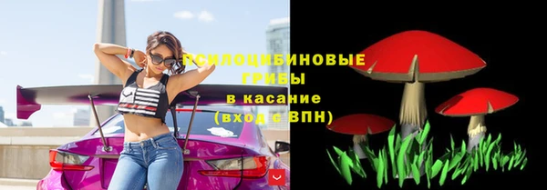 COCAINE Богородицк
