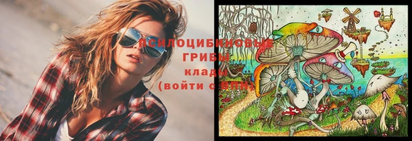Альфа ПВП Снежинск