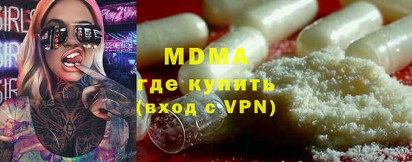 индика Бородино